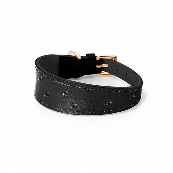 Wide Leather Dog Collar - black / S neck26-32cm - Pet 