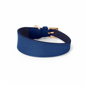 Wide Leather Dog Collar - blue / S neck26-32cm - Pet 