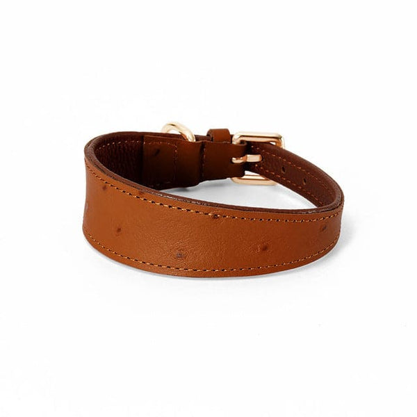 Wide Leather Dog Collar - brown / S neck26-32cm - Pet 