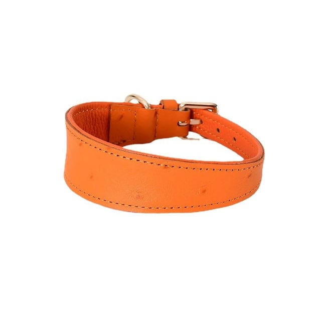 Wide Leather Dog Collar - orange / S neck26-32cm - Pet 