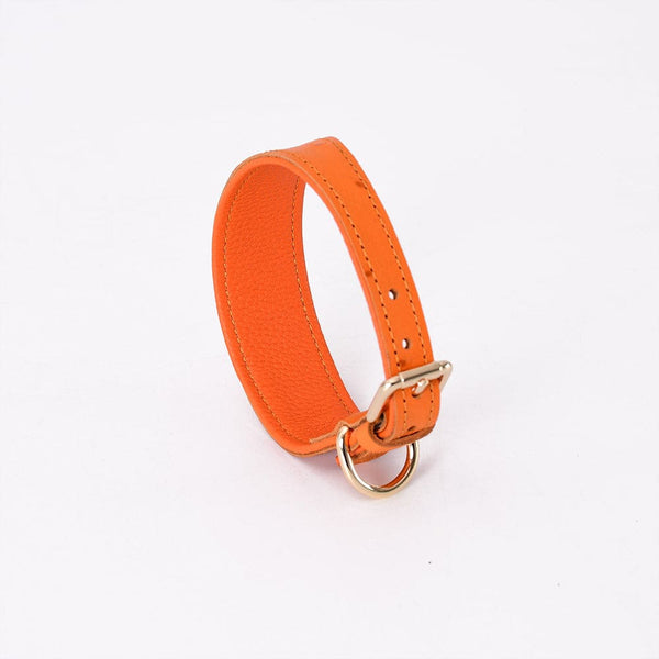 Wide Leather Dog Collar - Pet Supplies