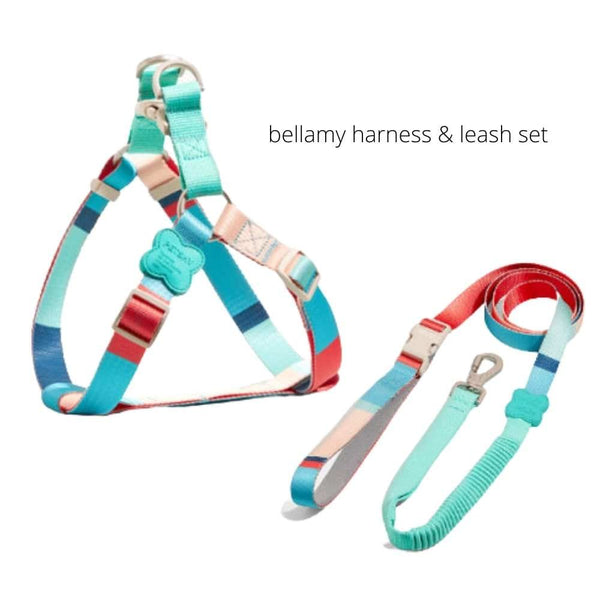 Y-shaped Dog Harness - Bellamy Harness & Lead Set / M - Pet 