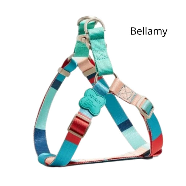 Y-shaped Dog Harness - Bellamy Harness only / S - Pet 