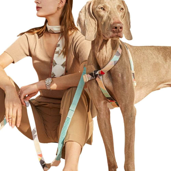 Y-shaped Dog Harness - Pet Supplies