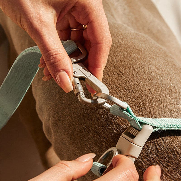 Y-shaped Dog Harness - Pet Supplies