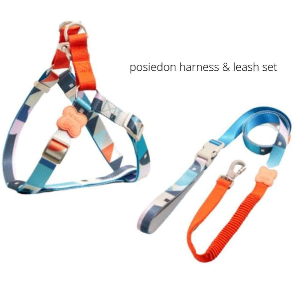 Y-shaped Dog Harness - Posiedon Harness & Lead Set / L - Pet
